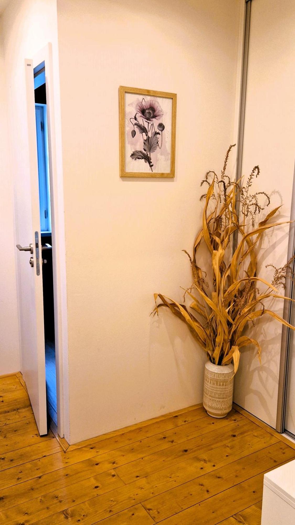 Apartmany Vcelin Brniste Ngoại thất bức ảnh